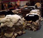 Sheepskins for sale