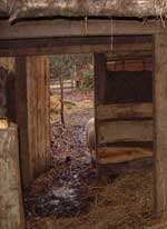 Grayhill Farm
